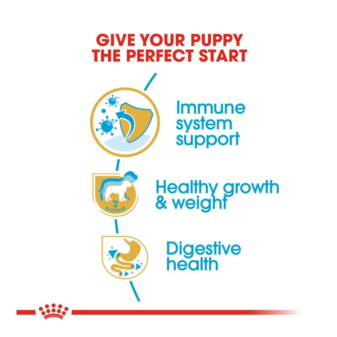 Royal Canin Labrador Retriever Junior 12kg - Image 3