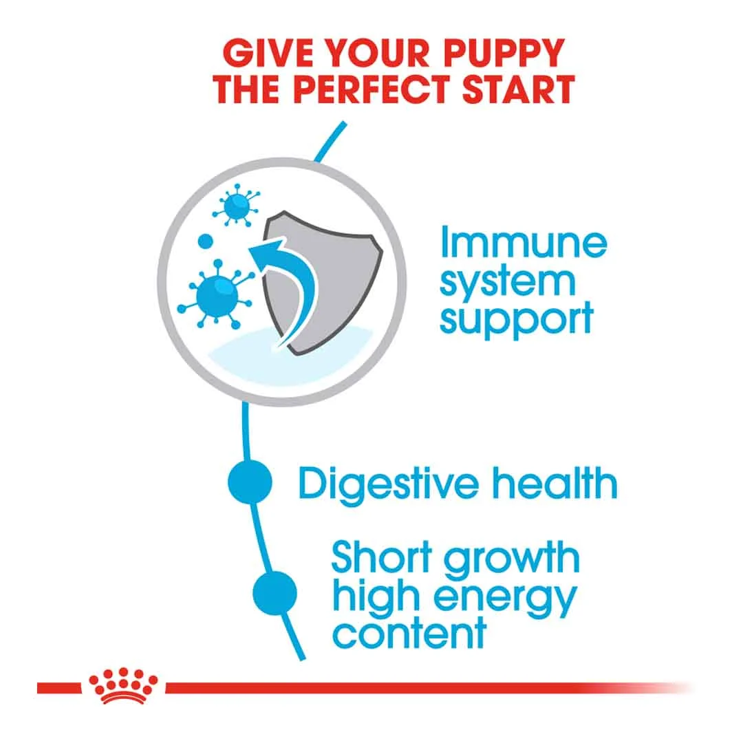 Royal Canin Medium Junior 4kg - Image 3