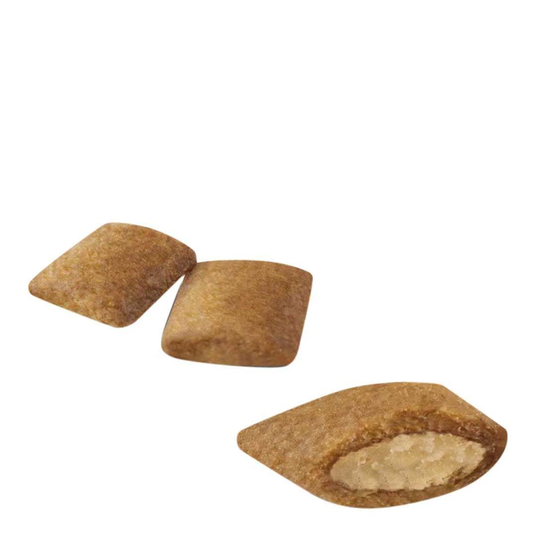 Royal Canin Ageing +12 2kg - Image 4