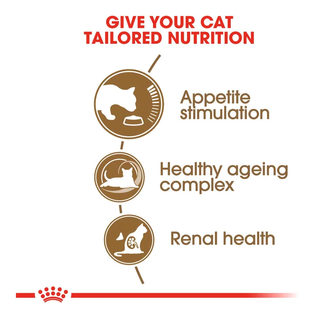 Royal Canin Ageing +12 2kg - Image 3