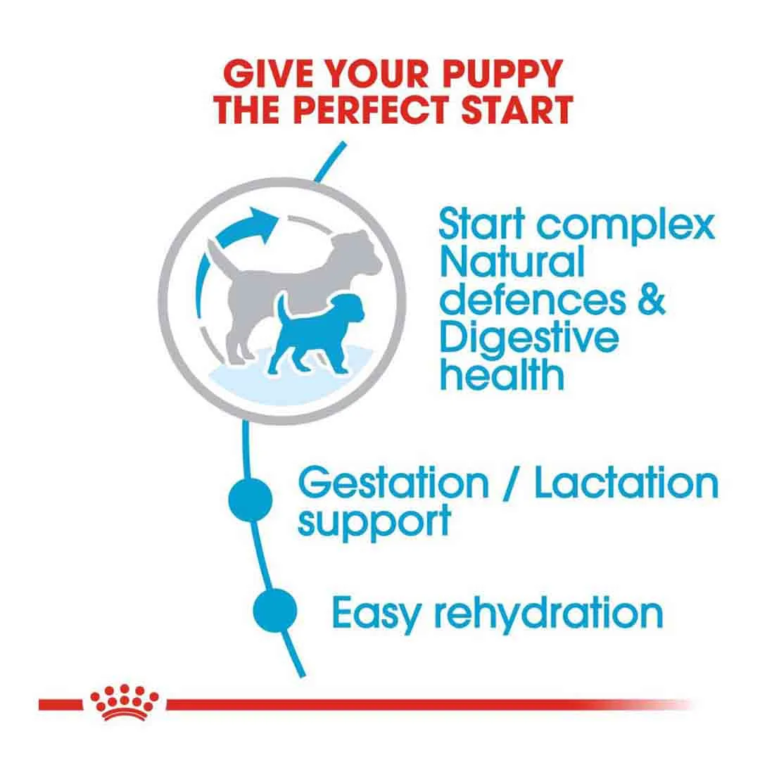 Royal Canin Mini Puppy Dry Dog Food 8kg - Image 3