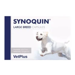 Synoquin Large Breed Capsules (pack Of 120) For Dogs Over 25kg