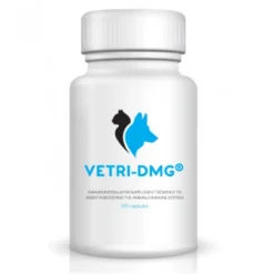 VSL Laboratories Vetri DMG Capsules 125mg (pack Of 120)
