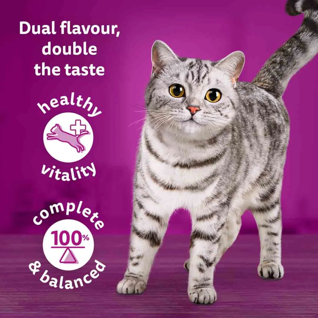 Whiskas Duo Surf & Turf In Jelly 1+ Adult Wet Cat Food Pouches, 40 X 85g - Image 3